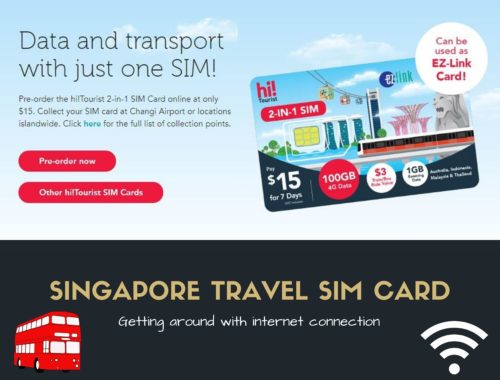 Singtel Sim Card