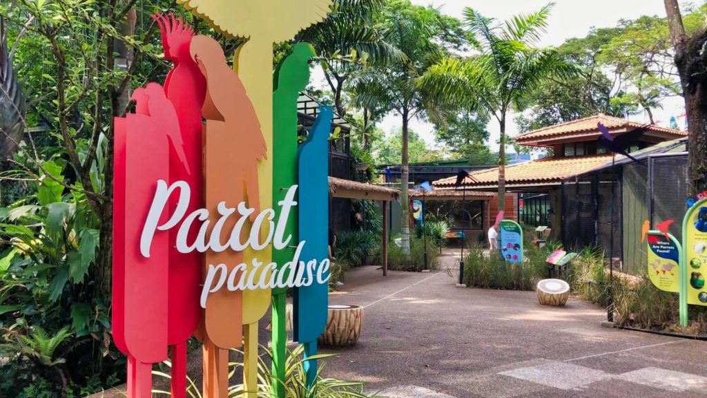 Jurong Bird Park Parrot Paradise