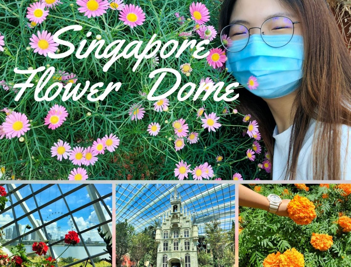 Singapore Flower Dome View